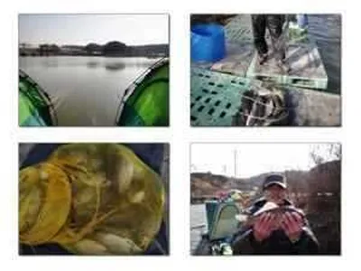 [각평지] 3월 마지막주말 조황정보