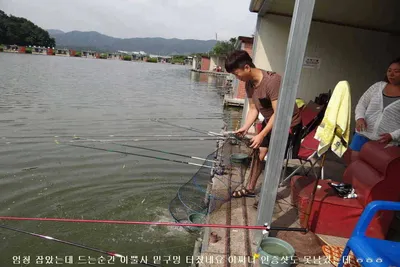 8월 19일 각평지 조황정보