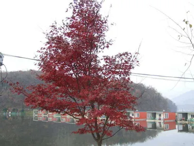 주중의 각평입니다.