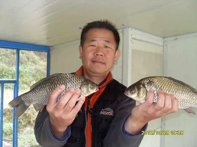 당진"가교리지"에서 토종 "큰 붕어"와 함께