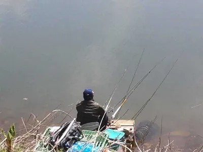 안성죽산장계지