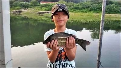 15.08.07 송전지 서울집 조황