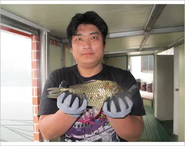 춘천  의암호 자갈섬 붕어!!