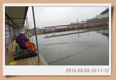 충남 아산 월선낚시터 3월 3일자 스케치