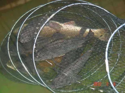 2월 5일 조황 안내!! 김포바다하우스낚시터!!