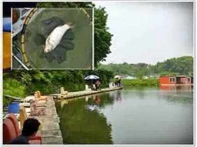 [각평지] 5월 둘째주말 조황정보