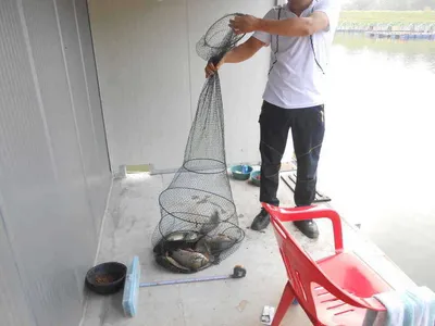 *****실시간 조황사진*****