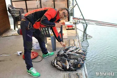 [황청낚시터]3월8일 노지 붕어낚시 가능합니다.