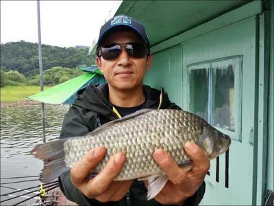 16.07.02 송전지 서울집 조황