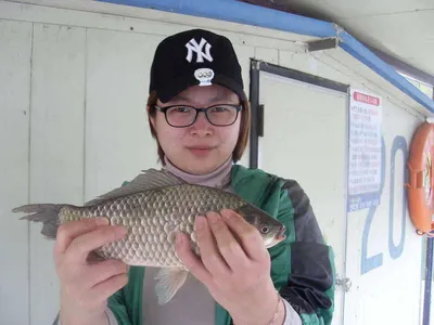 [당진 가교리지] 토종 대물 주말조황 화보..