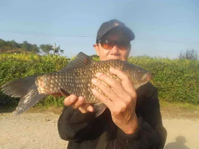 [당진 가교리지  조황정보..]