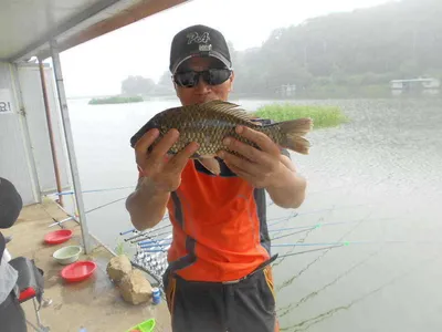 [당진 가교리지 주말 조황정보..]