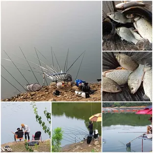 산속깊은계곡속에자리잡은장계지에서