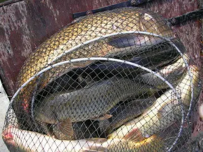 너무 더운가요?