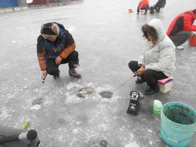 *****빙어축제조황소식*****