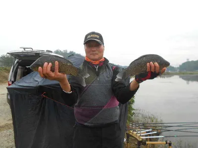 [당진 가교리지] 조황정보..