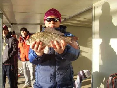 [당진 가교리지] 조황 정보 ..