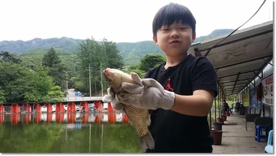 택암낚시터 징검다리 연휴 조황소식