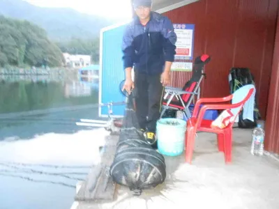 *****실시간 조황사진*****