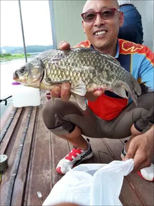 17.07.20 송전지 서울집 조황