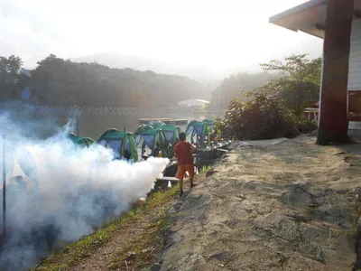 *****실시간 조황사진 올려봅니다*****