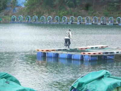 *****실시간 조황사진입니다*****