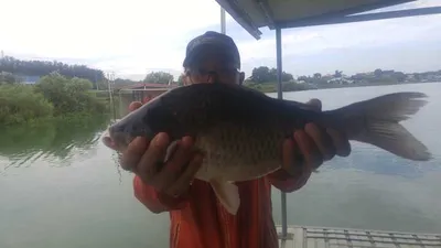 앗~뜨거운 8월초 조황은 시원시원하게~~~오목낚시터