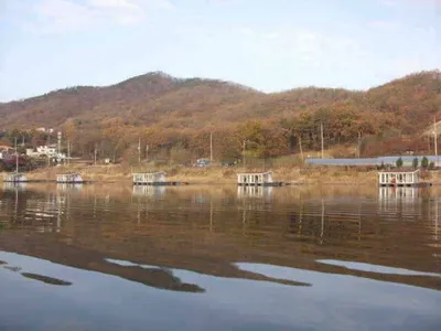 국화지 11월 셋째 주 조황 스케치