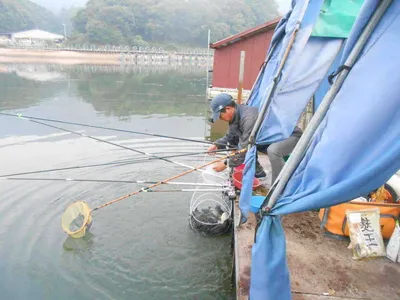 *****실시간 조황사진*****