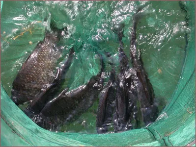 아직도 방한복이 필요한가요???