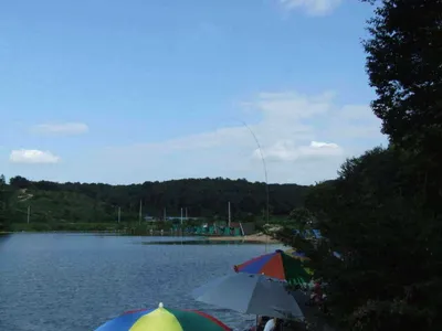 주말 각평의 (8월 27일)모습입니다.