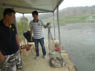 [당진 가교리지] 비가 내리고 있네요..