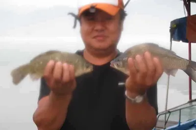 자갈섬낚시터조황입니다