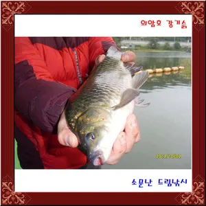 그래도, 월척은 나왔습니다.