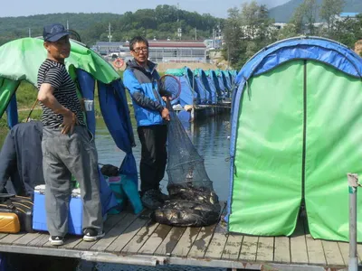 **조황소식&수상좌대이벤트**