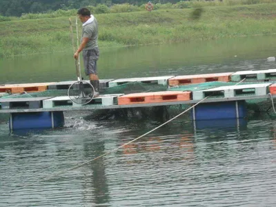 *****실시간 조황사진*****