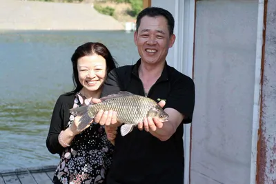 토종붕어터 예산 봉림지 5월 첫째 주말 조황정보 입니다.