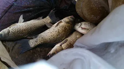 송전지서울집6월14일조황