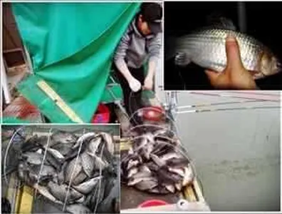 [각평지 ] 3월 1일 조황 및 방유 정보