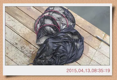 충남 아산 월선낚시터 4월 14일자 스케치