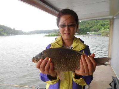 [당진 가교리지] 토종대물 조사님 가까이...