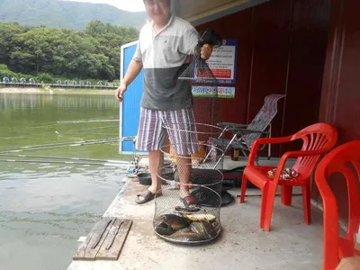 *****실시간 조황사진*****