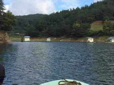 행복낚시터 요룡지 14년9월4일 조황정보입니다^^