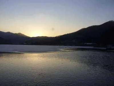 국화지 겨울철 물낚시 운영중.