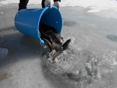 초원낚시터 조황입니다^^^