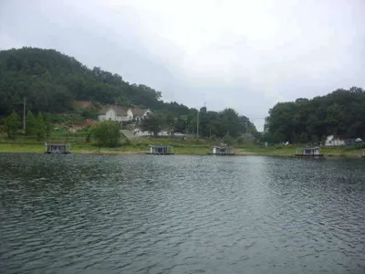 국화지 7월 첫째 주 조황입니다.