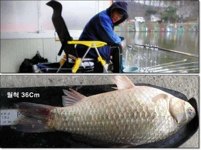 [각평지] 11월 마지막주 각평 화보