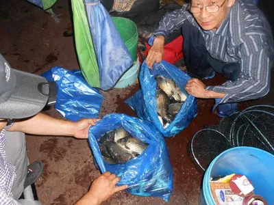 *****실시간 조황사진 올려봅니다*****