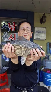 17.04.17 송전지 서울집 조황