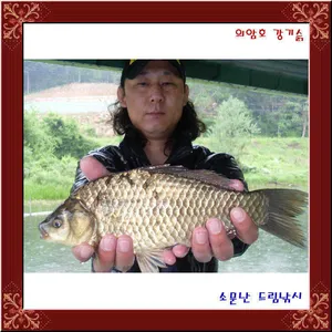 의암호 강기슭 소문난 드림낚시입니다.